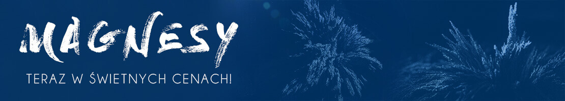 magnesy neodymowy - magnesy neodymowe