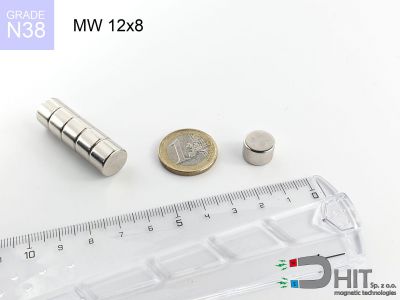 MW 12x8 N38 - magnesy w kształcie krążka