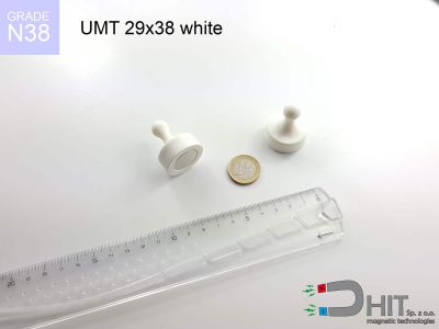 UMT 29x38 white N38 - uchwyty magnetyczne do tablic